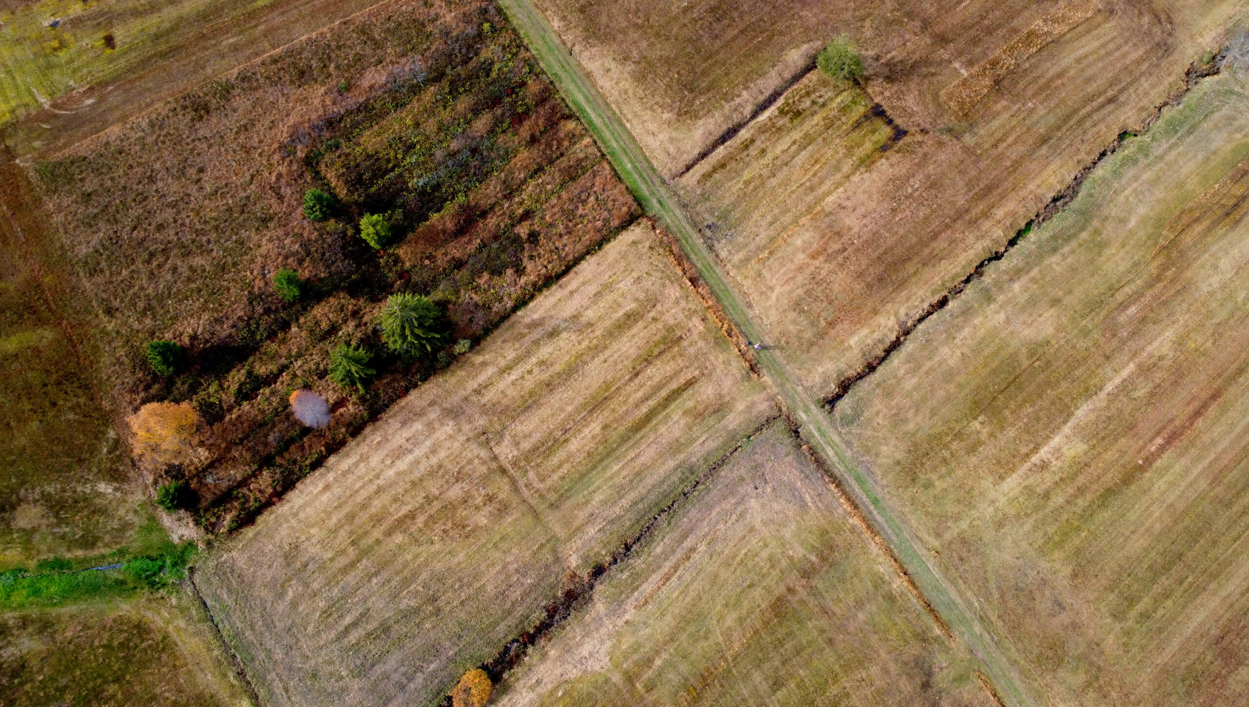 Drohnenfoto Carografik Schwantenau